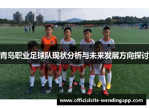 青岛职业足球队现状分析与未来发展方向探讨