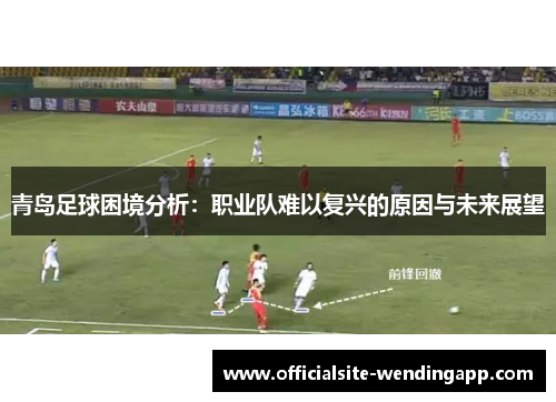 青岛足球困境分析：职业队难以复兴的原因与未来展望