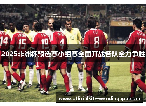 2025非洲杯预选赛小组赛全面开战各队全力争胜