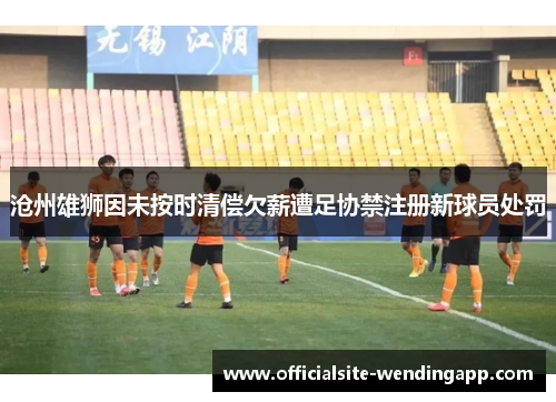 沧州雄狮因未按时清偿欠薪遭足协禁注册新球员处罚