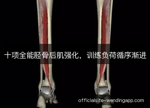 十项全能胫骨后肌强化,训练负荷循序渐进 十项全能胫骨后肌强化,训练负荷循序渐进